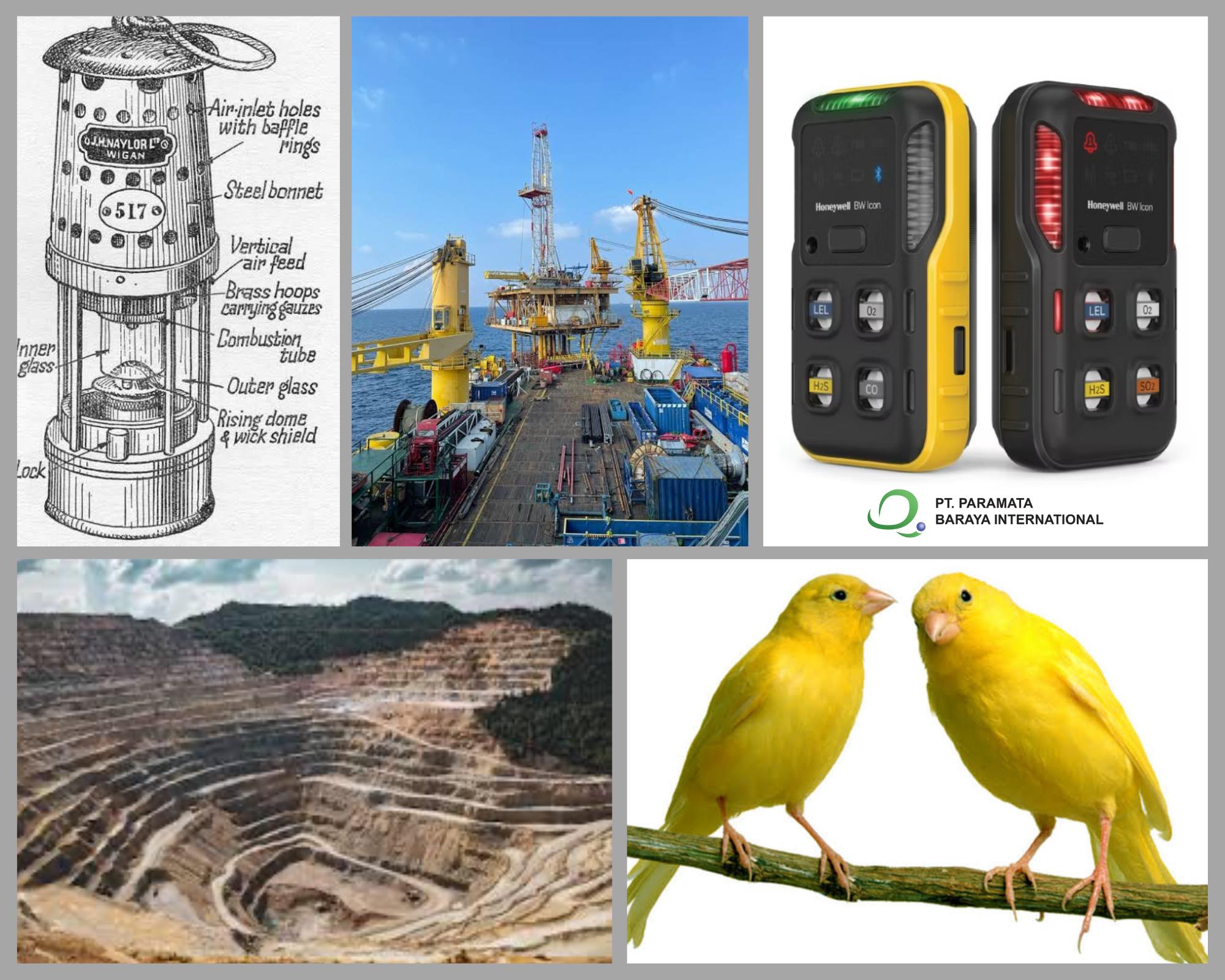 Dari Burung Kenari hingga Sensor Canggih: Evolusi Gas Detector dalam Menjaga Keselamatan